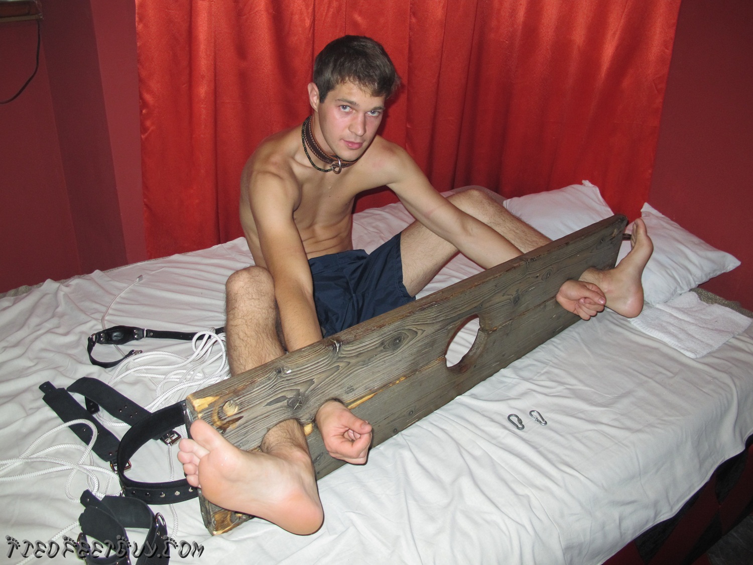 eläinseksi bdsm gay blog eläinseksi bdsm gay blog